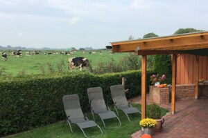 Terrasse relaxen auf der Terrasse