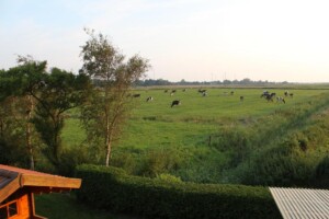 Blick aus dem Dachfenster