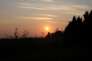 Sonnenuntergang - Blick von der Terrasse